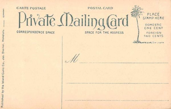 Hawaii Lauhala Palms Pandanus Scenic View Private Mail Postcard JJ649888 - Image 2