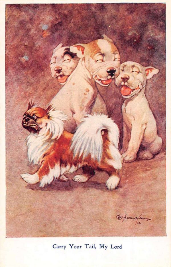 Greetings Dogs "Carry Your Tail" Artist Signed Vintage Postcard JJ649897