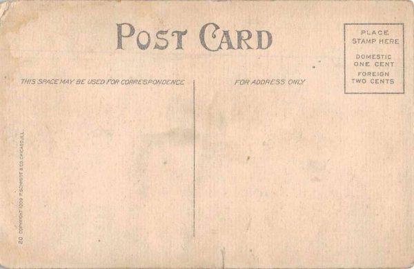 Woman in Horse Carriage Vintage Postcard AA220 - Image 2
