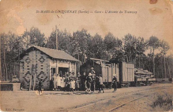 Saint-Mars-de-Locquenay France Train Station Logging Vintage Postcard AA460