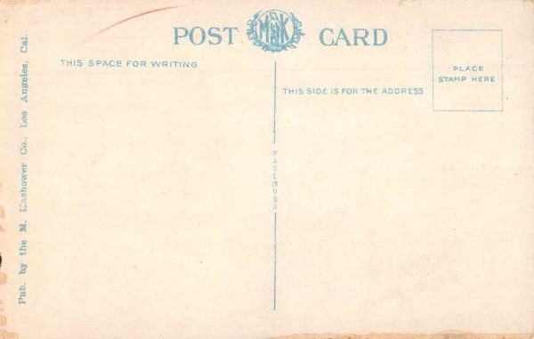 Tijuana Mexico Main Street Baseball Sign Vintage Postcard AA567 - Image 2