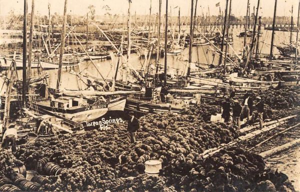 Tarpon Springs Florida aerial view boats pier at sponge dock real photo pc BB258