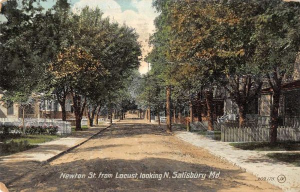 Salisbury Maryland looking north Newton St from Locust antique pc BB408