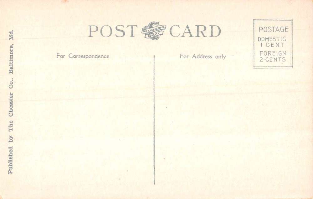 Towson Maryland birds eye view State Normal School antique pc BB472 - Image 2