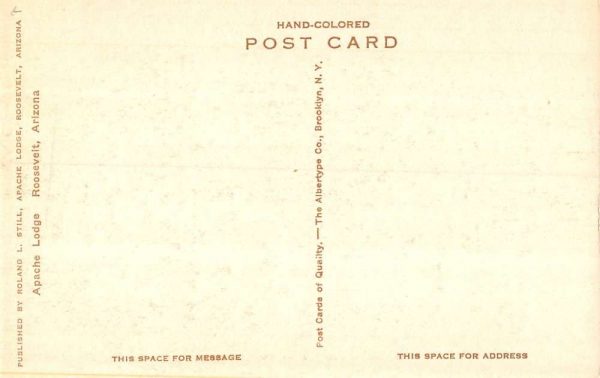 Roosevelt Arizona birds eye view Apache Lodge hand-colored antique pc BB640 - Image 2