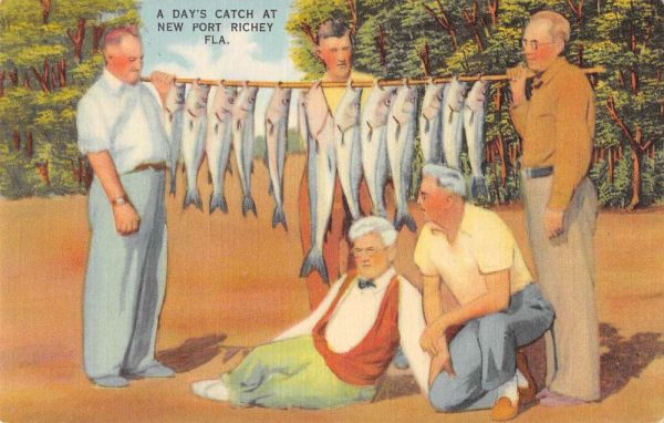New Port Richey Florida men with daily fish catch linen antique pc BB683