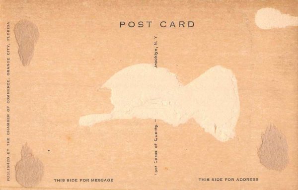 Orange City Florida birds eye view Tarrymore Inn antique pc BB739 - Image 2