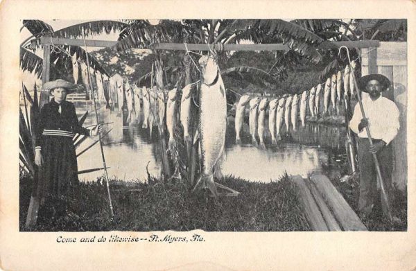 Fort Myers Florida man and boy with daily catch of fish antique pc BB755