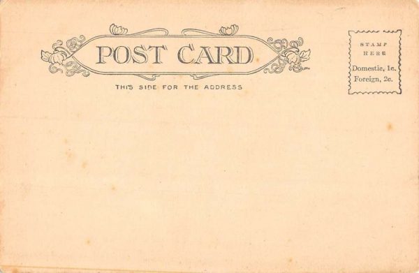 Fort Myers Florida man and boy with daily catch of fish antique pc BB755 - Image 2