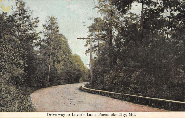 Pocomoke City Maryland birds eye view driveway or Lover's Lane antique pc BB862
