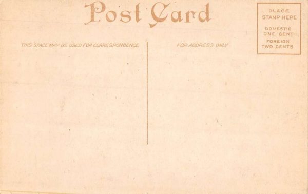 Pocomoke City Maryland birds eye view driveway or Lover's Lane antique pc BB862 - Image 2