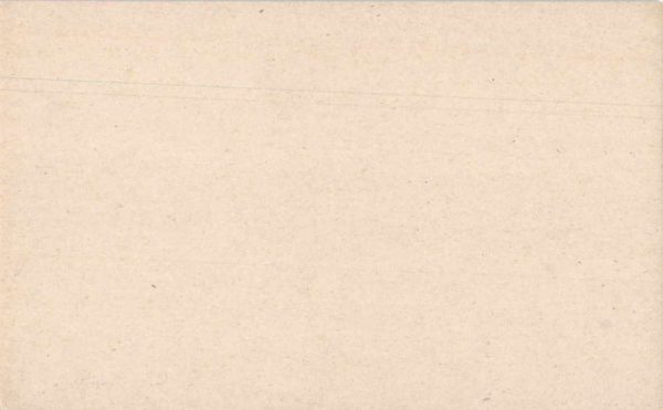 Pin-up Girl Holding White Shirt Doctors Office Mutoscope Arcade Card AA1176 - Image 2