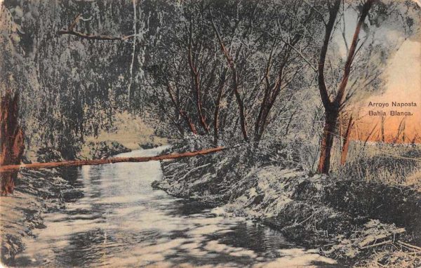 Bahia Blanca Argentina Arroyo Naposta Scenic View Vintage Postcard AA1256