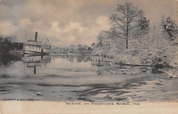 Pocomoke City Maryland Scenic View Steamer Steam Boat Postcard AA1685