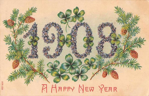 "A Happy New Year" 1908 pine cones branches purple flowers antique pc BB1103