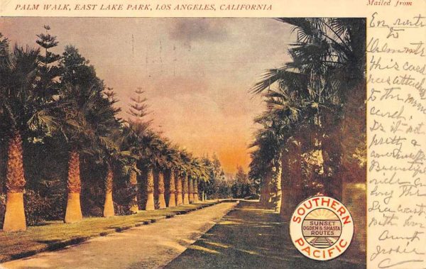 Los Angeles California East Lake Park Palm Walk Southern Pacific Postcard AA1837