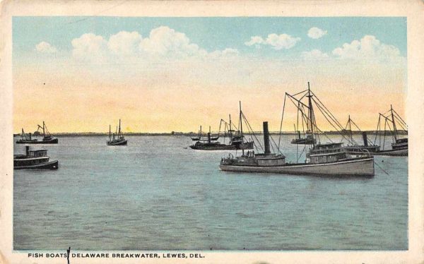 Lewes Delaware Breakwater Fish Boats Vintage Postcard AA1886