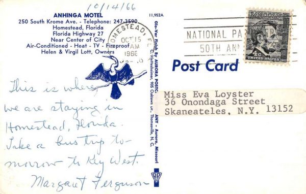 Homestead Florida Anhinga Motel Exterior Vintage Postcard KK230 - Image 2