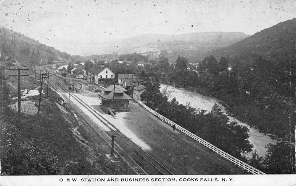 Cooks Falls New York Railroad Station Business Section Vintage Postcard