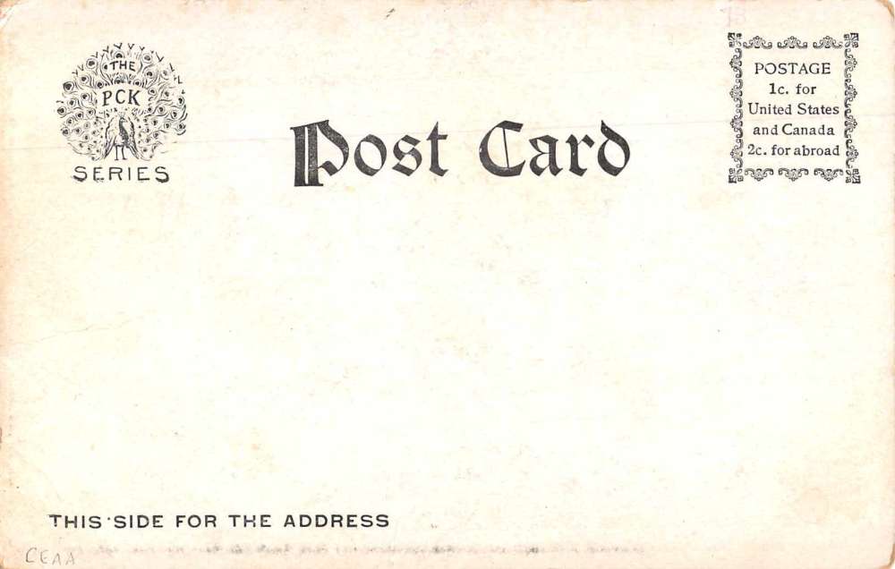 Milton Florida Back Street During Storm Flood Disaster Vintage Postcard AA4745 - Image 2