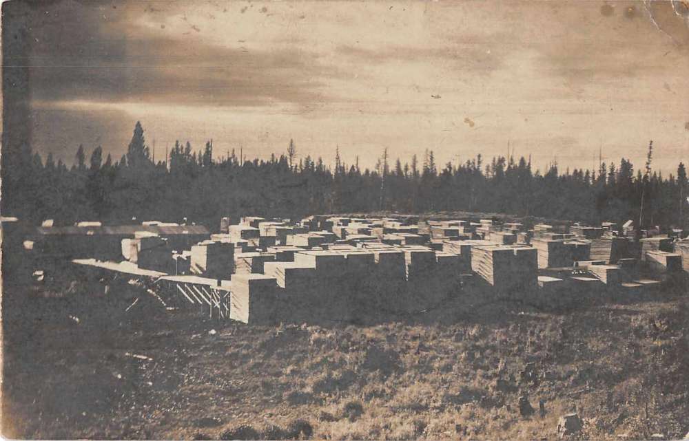 Kalispell Montana Lumber Yard Real Photo Vintage Postcard AA9992 Mary