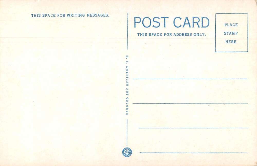 Saratoga Springs New York Race Track Jockey Rail Birds Vintage Postcard AA13490 - Image 2