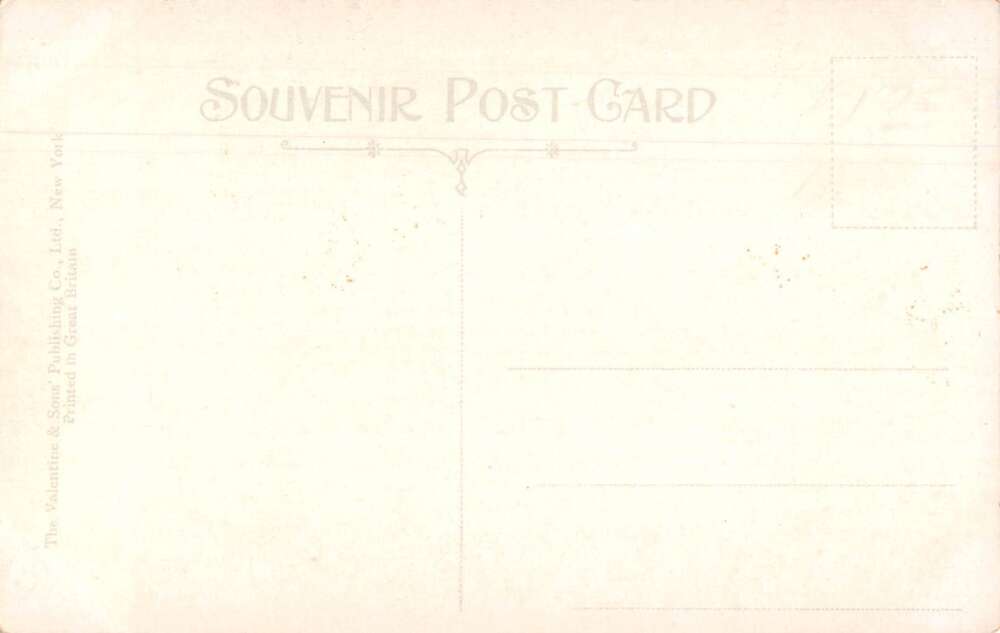 Ocala Florida Lovers' Lane Street Scene Vintage Postcard AA13511 - Image 2