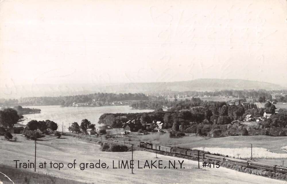 Lime Lake New York Birds Eye View Train Station Real Photo Postcard