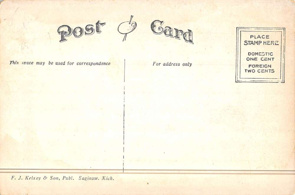 Saginaw Michigan view from street Everett House antique pc DD5512 - Image 2