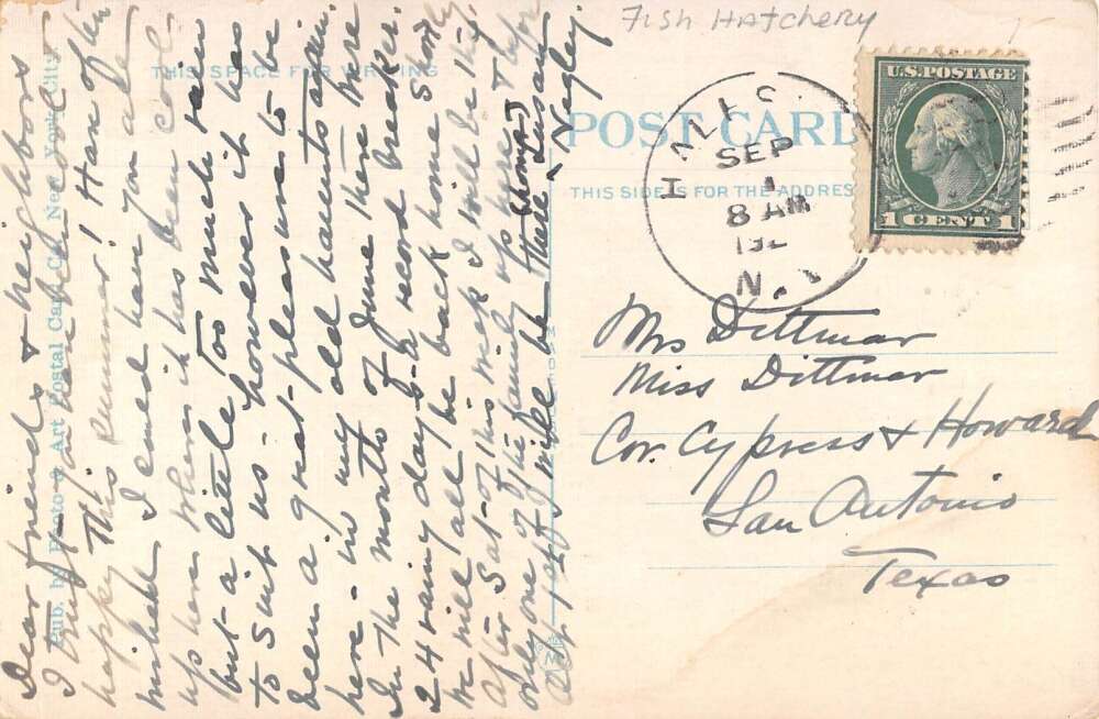 Cold Spring Long Island New York State Fish Hatcheries Vintage Postcard AA18540 - Image 2