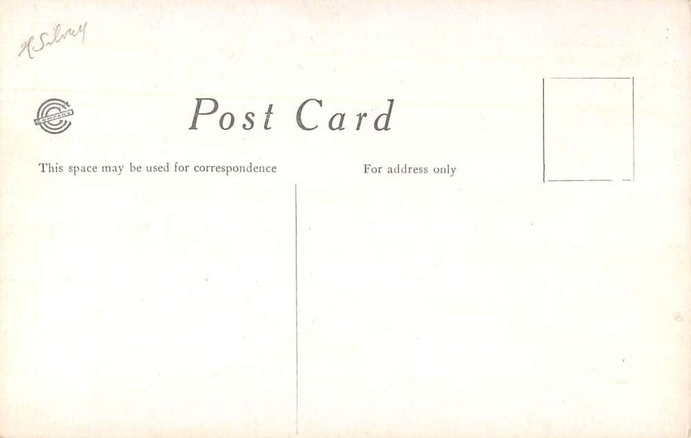 Joplin Missouri Schifferdecker Electric Park Main Avenue Postcard AA26291 - Image 2