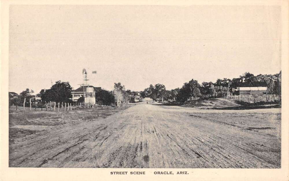 Oracle Arizona Street Scene Vintage Postcard AA27692 Mary L. Martin