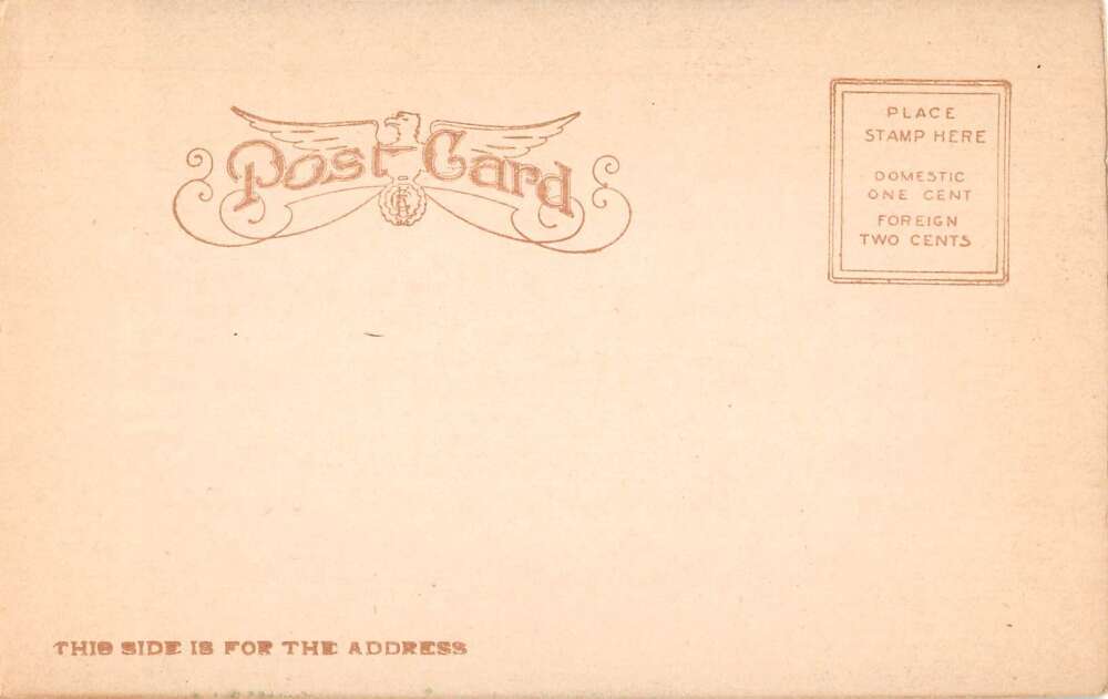 Daytona Florida Crazy Tree Scenic View Vintage Postcard AA27799 - Image 2