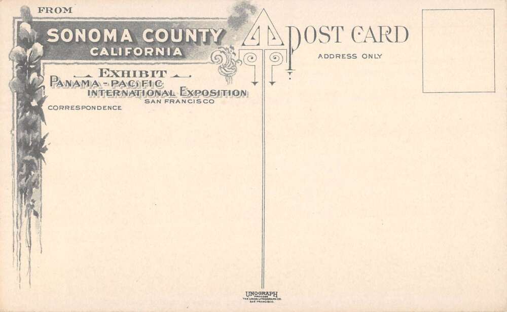 Sonoma County California Russian River Scenic View Vintage Postcard AA28006 - Image 2