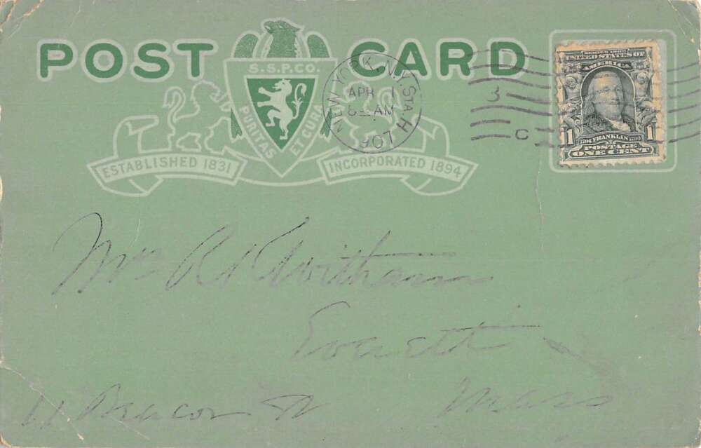 Boston Massachusetts SS Pierce Co Six Percheron Horses Vintage Postcard AA28142 - Image 2