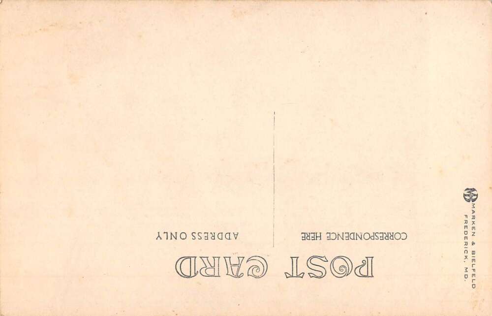 Braddock Heights Maryland Braddock's Spring Real Photo Vintage Postcard AA28687 - Image 2