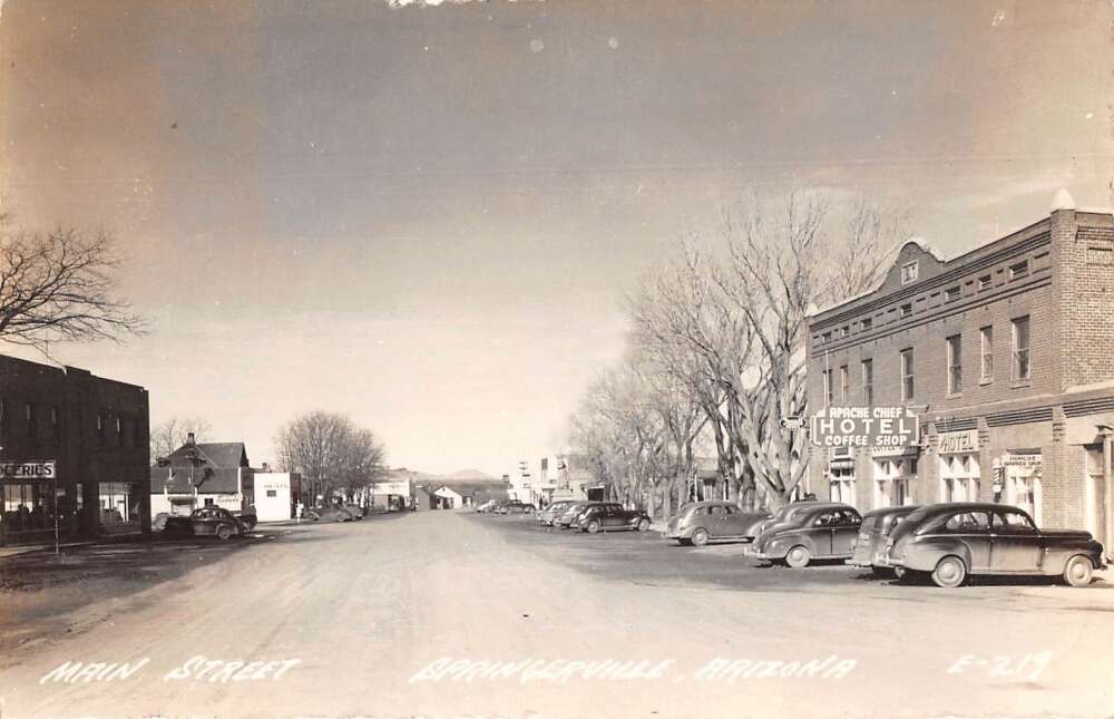 Springerville Arizona Main Street Real Photo Vintage Postcard AA28742