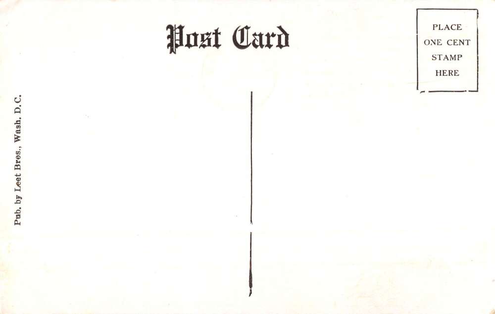 Washington DC Pennsylvania Avenue Waiting for Parade Vintage Postcard AA29015 - Image 2