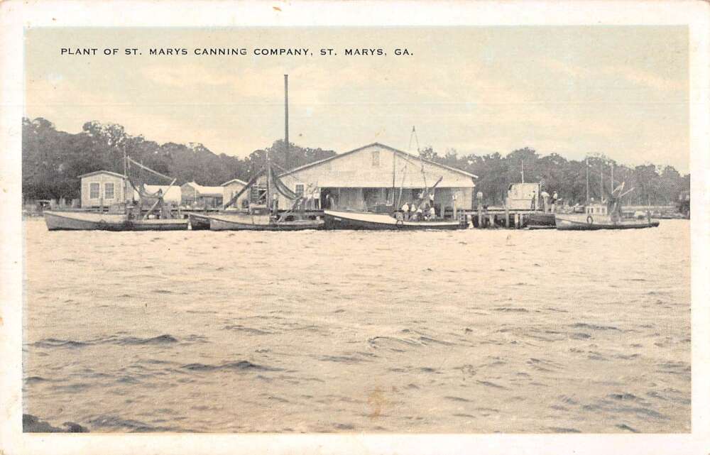 St Marys Georgia St Marys Canning Co Vintage Postcard AA31589