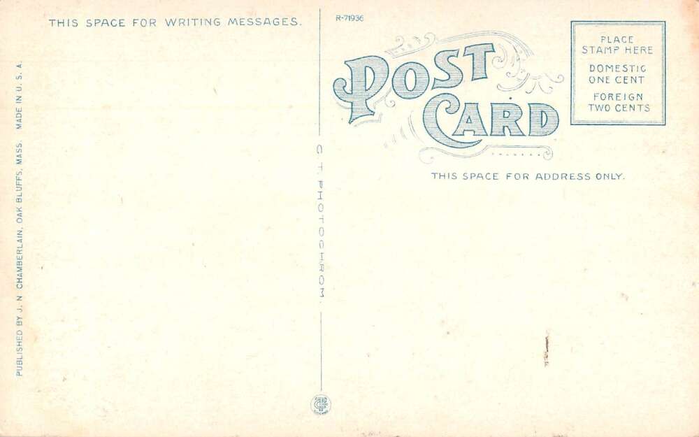 Oak Bluffs Massachusetts Circuit Avenue Carnival Week Vintage Postcard AA32126 - Image 2