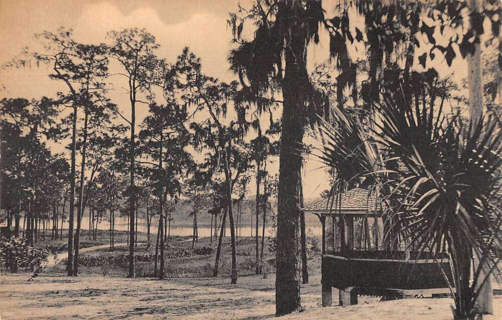 Cassadaga Florida View through the Park Vintage Postcard AA34817 Mary