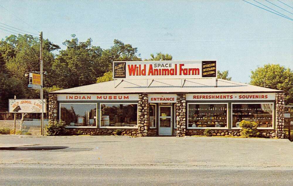 Postcards Archives Mary L. Martin Ltd. Postcards