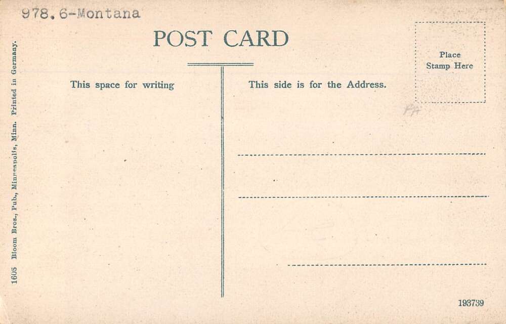 Livingston Montana Birds Eye View Vintage Postcard AA41690 - Image 2