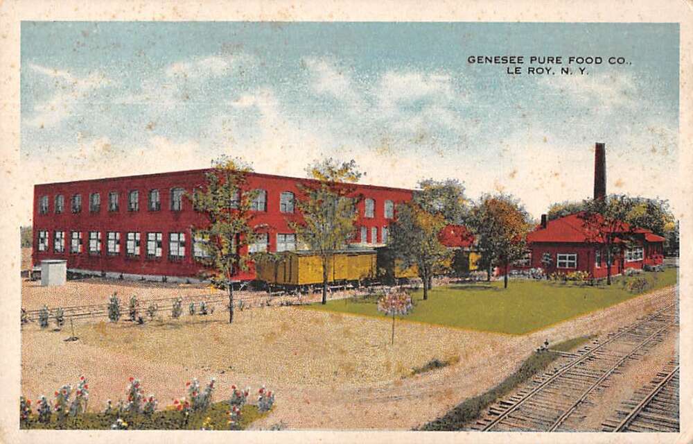 Le Roy New York Genessee Pure Food Co Vintage Postcard AA43766 Mary L