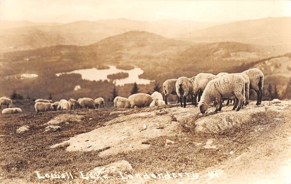 Londonderry Vermont Lowell Lake Sheep Real Photo Postcard AA48668 Mary L. Martin Ltd. Postcards