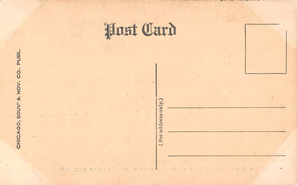 Michigan City Indiana Washington Park Roller Coaster Vintage Postcard AA54037 - Image 2