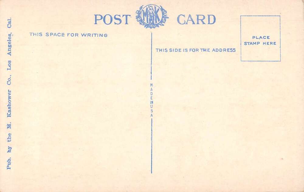 Santa Monica California Palisades and Amusement Park Vintage Postcard AA54912 - Image 2