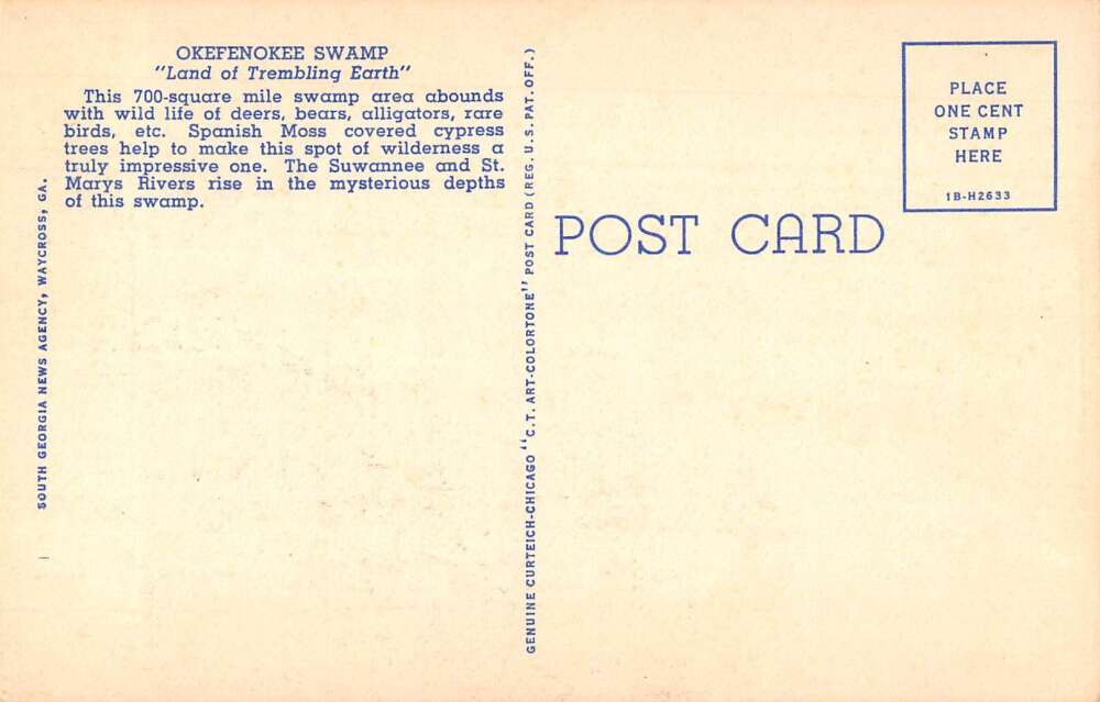 Okefenokee Swamp Georgia Greetings Large Letter Linen Vintage Postcard AA54951 - Image 2