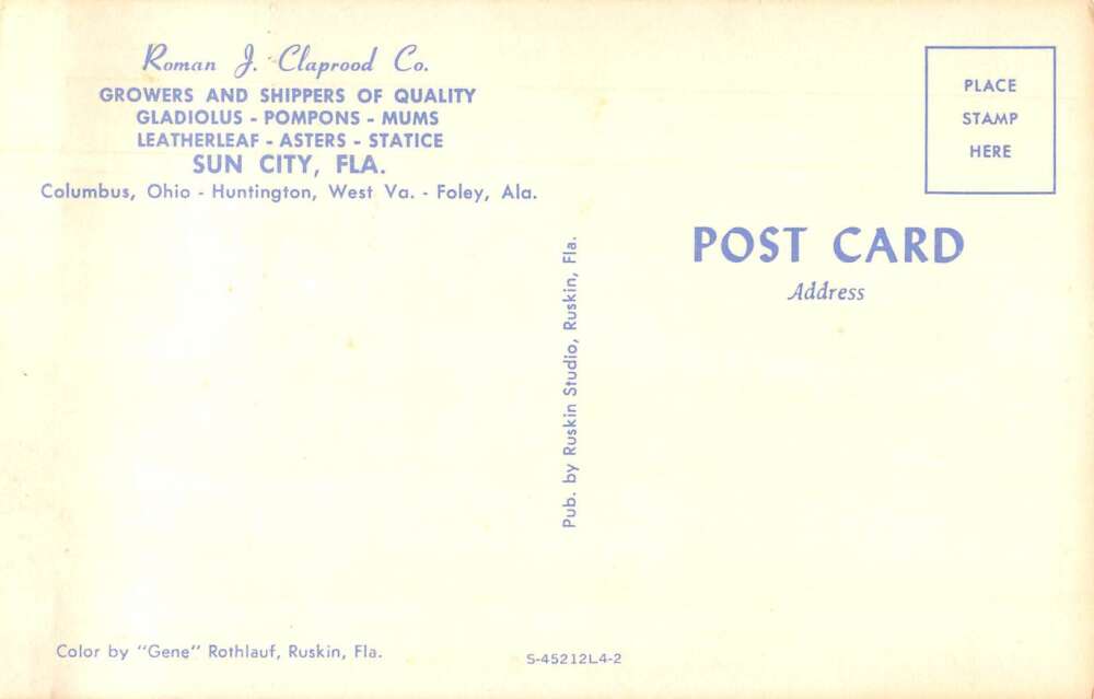 Sun City Florida Largest Flower Producer Multiview Vintage Postcard AA54954 - Image 2