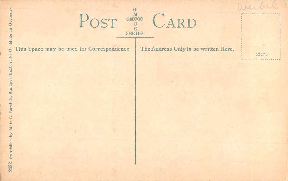 Lake Sunapee New Hampshire Birds Eye View Multiview Vintage Postcard AA54985 - Image 2